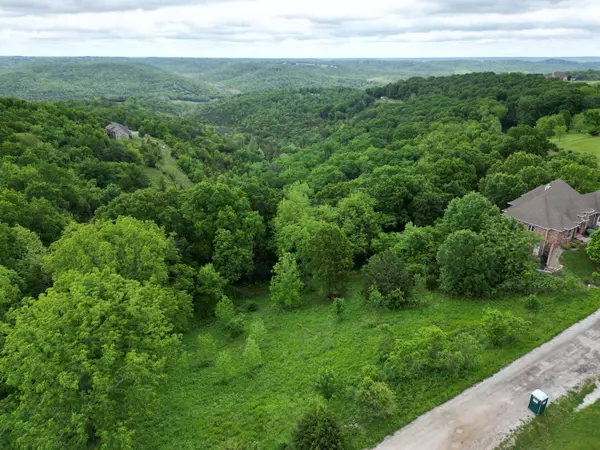 Walnut Shade, MO 65771,Tbd Gavins Trail