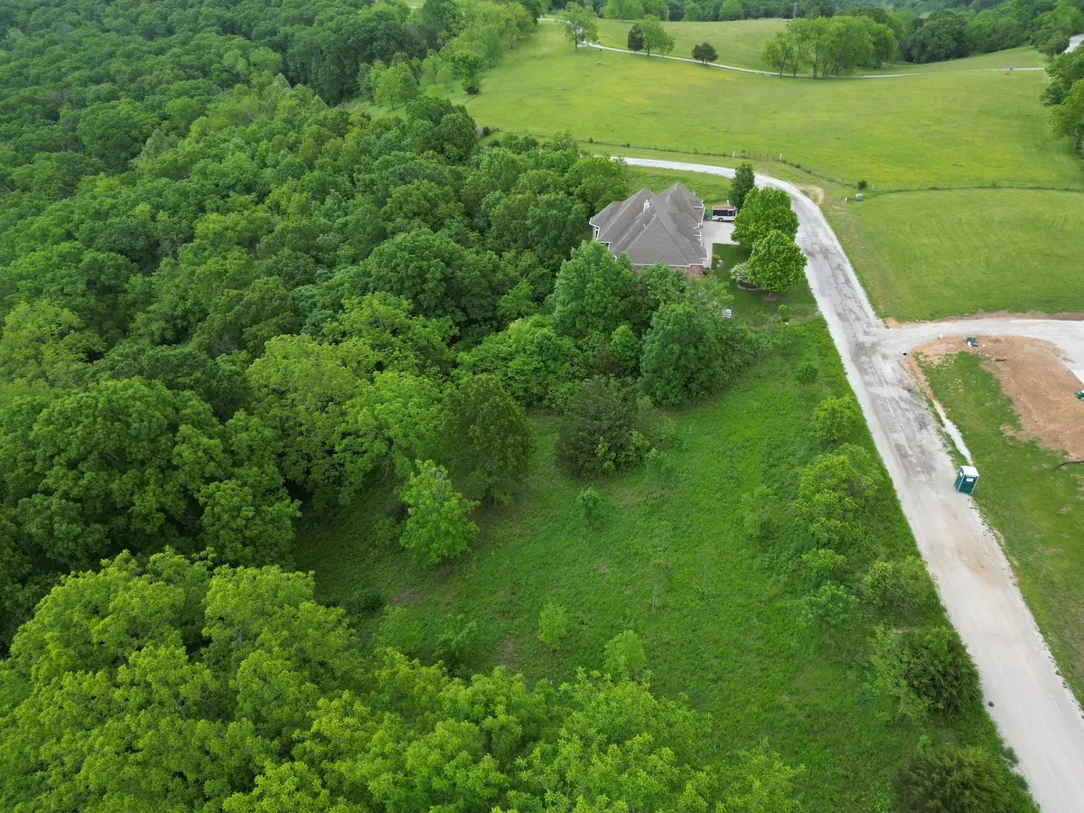 Walnut Shade, MO 65771,Tbd Gavins Trail