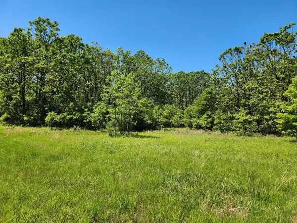 Mountain View, MO 65548,000 County Road 3330