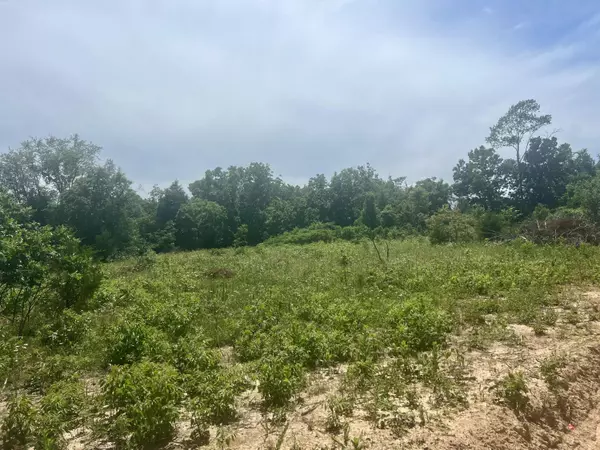 Lot 3 Highway 112, Cassville, MO 65625