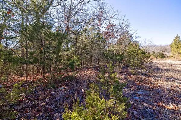 Ridgedale, MO 65739,Lot 5 Terrace Drive