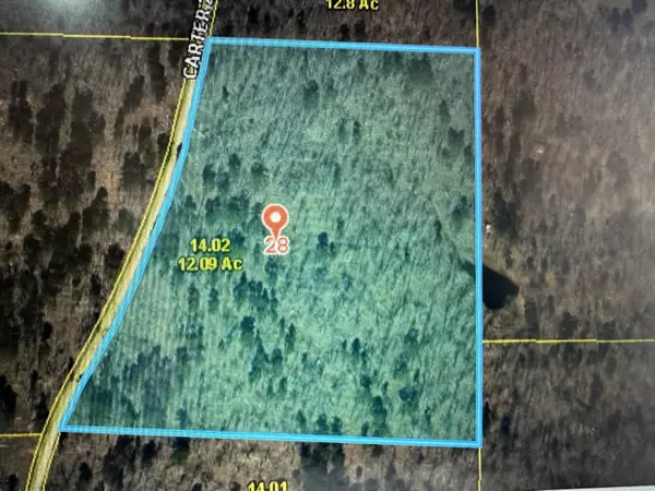 Ellsinor, MO 63937,000 County Road 223