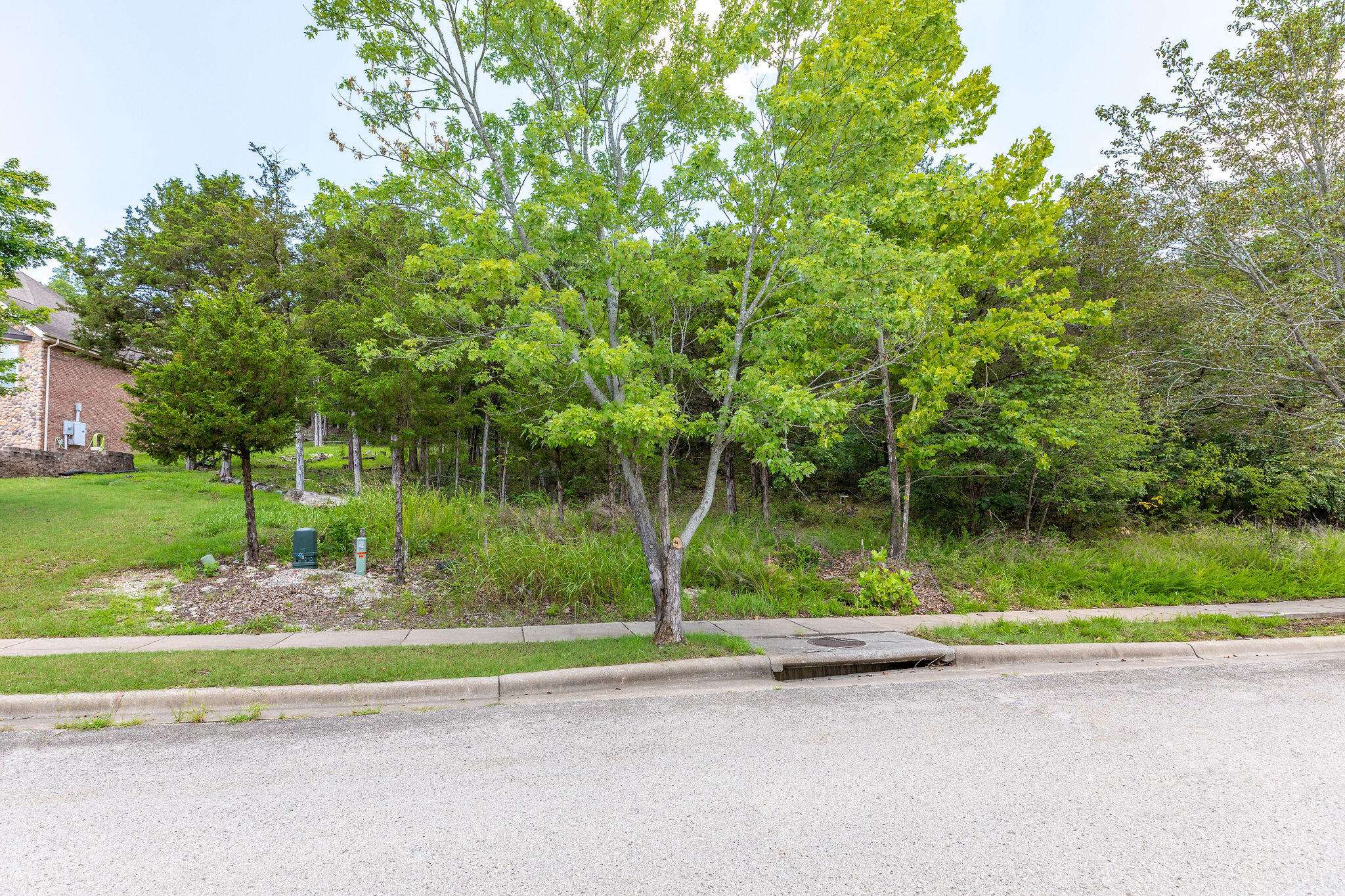Branson, MO 65616,0 Summerwood Drive