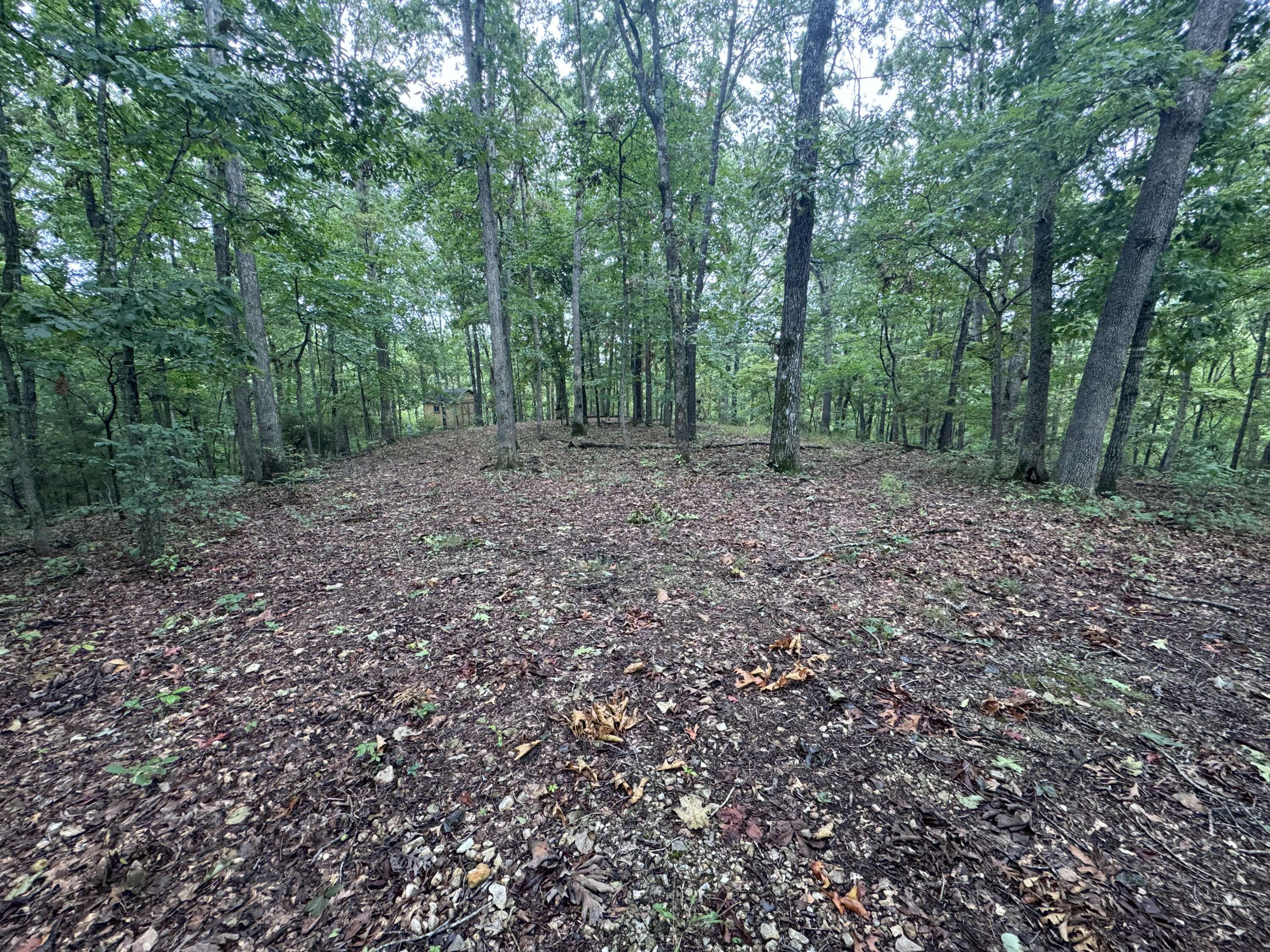 Cassville, MO 65625,Lot 51 Coyote Ridge. Road