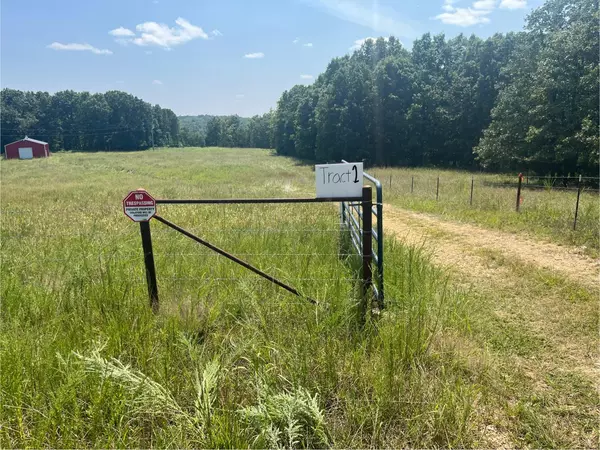 Squires, MO 65755,Tract 2 Route 4