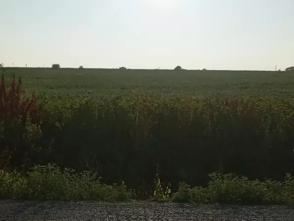 Neosho, MO 64850,12229 Hammer Road