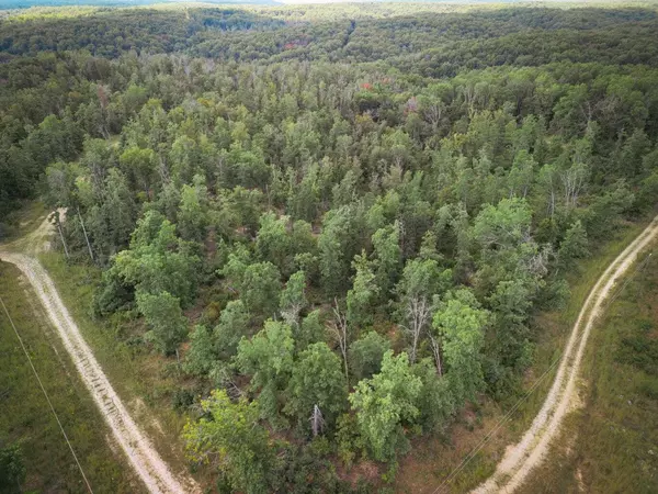 Raymondville, MO 65555,125 & 130 Ridge Crest Trail