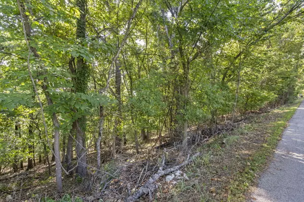 Branson, MO 65616,Tbd Lot 10 Skyview Drive