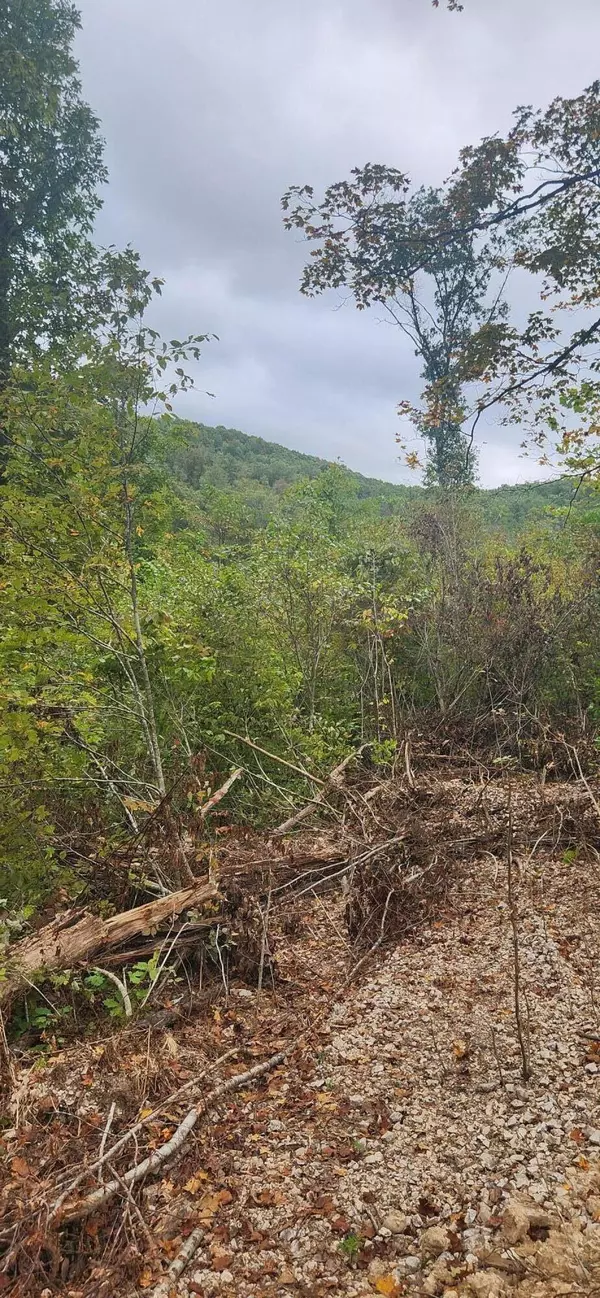 Chadwick, MO 65629,Tract 2 Blue Creek Road