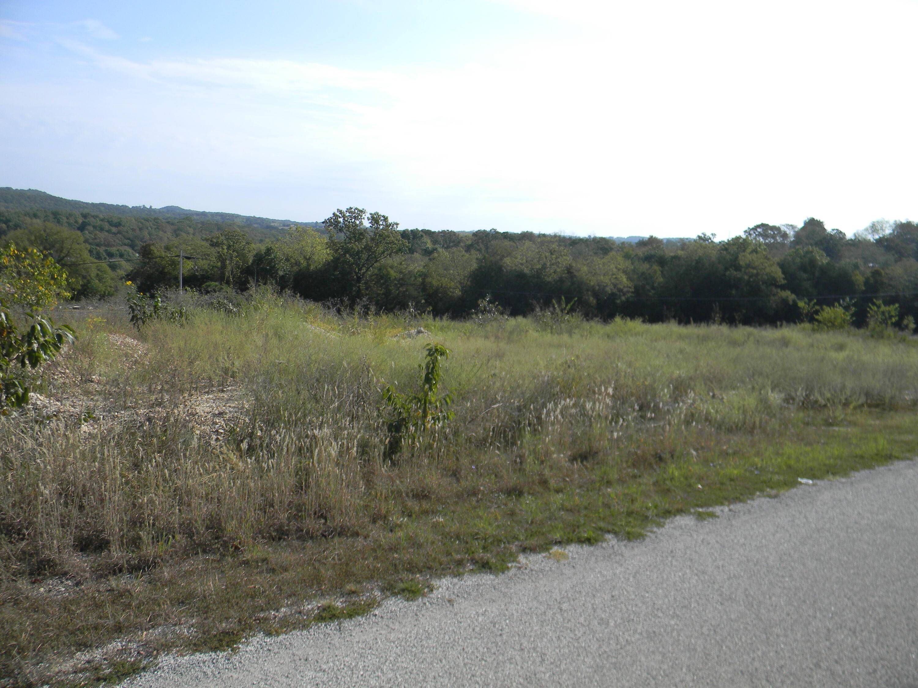 000 State Hwy 86, Eagle Rock, MO 65641