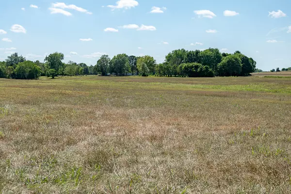 Springfield, MO 65802,1297 Mo-125