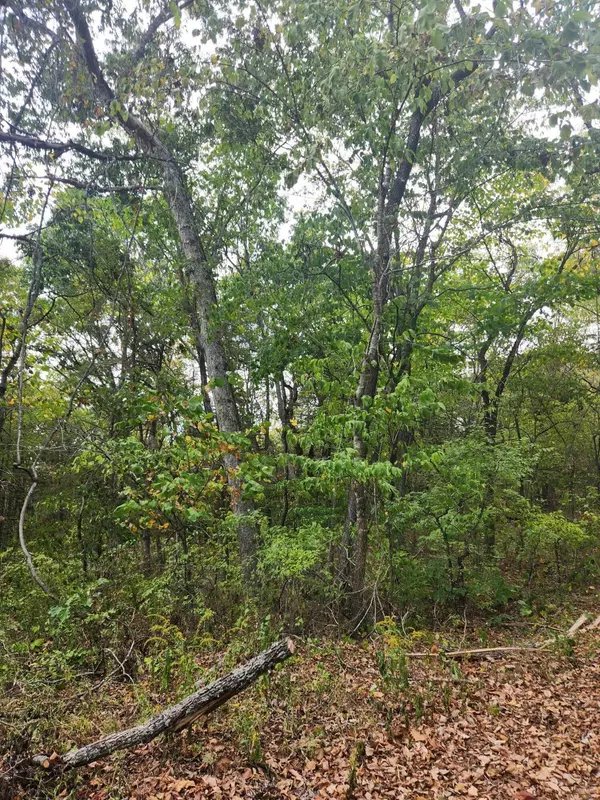 Golden, MO 65658,000 Farm Road 1268