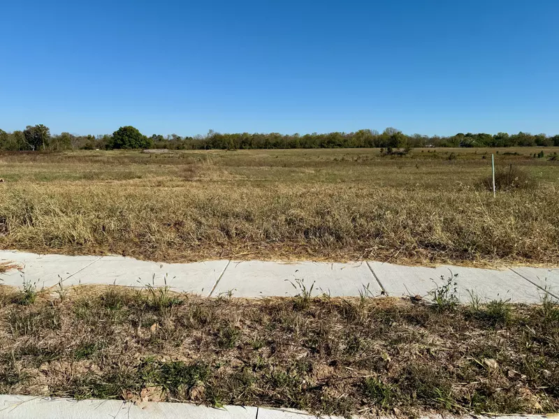 1025 S Antietam Road, Republic, MO 65738