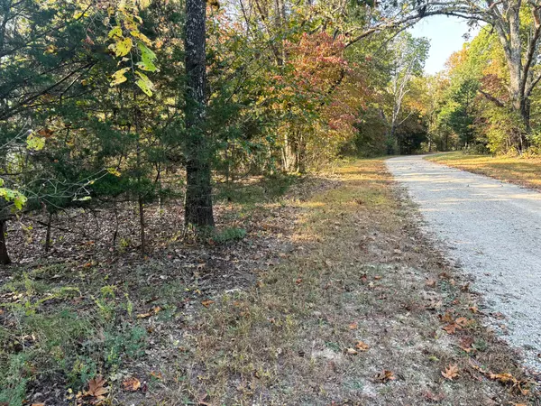 Theodosia, MO 65761,000 County Road 636