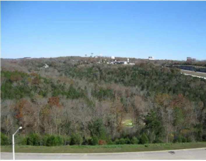 000 Ozark Scenic Drive, Branson, MO 65616