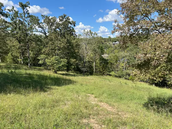 Omaha, AR 72662,#8 Ledge Rock Lane #Lot 8
