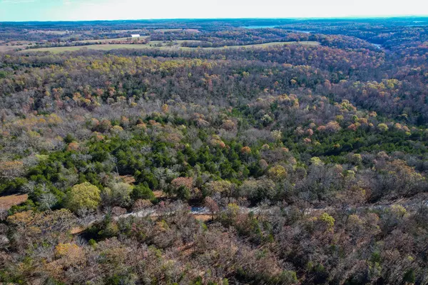 Cedarcreek, MO 65627,Lot 8 Mo Ark Road