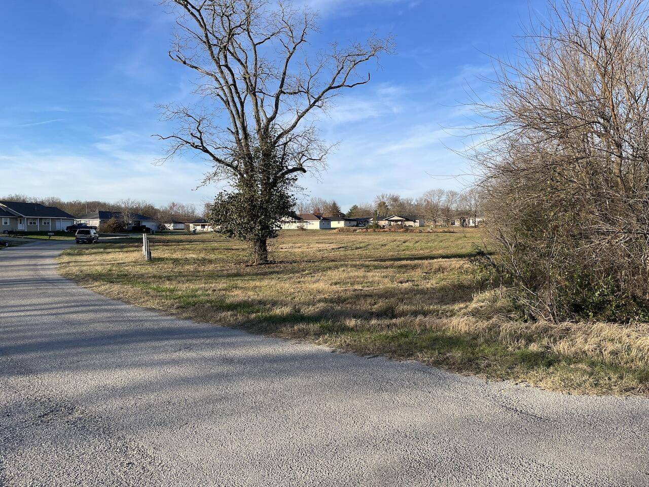 Willow Springs, MO 65793,000 Aj Street #10