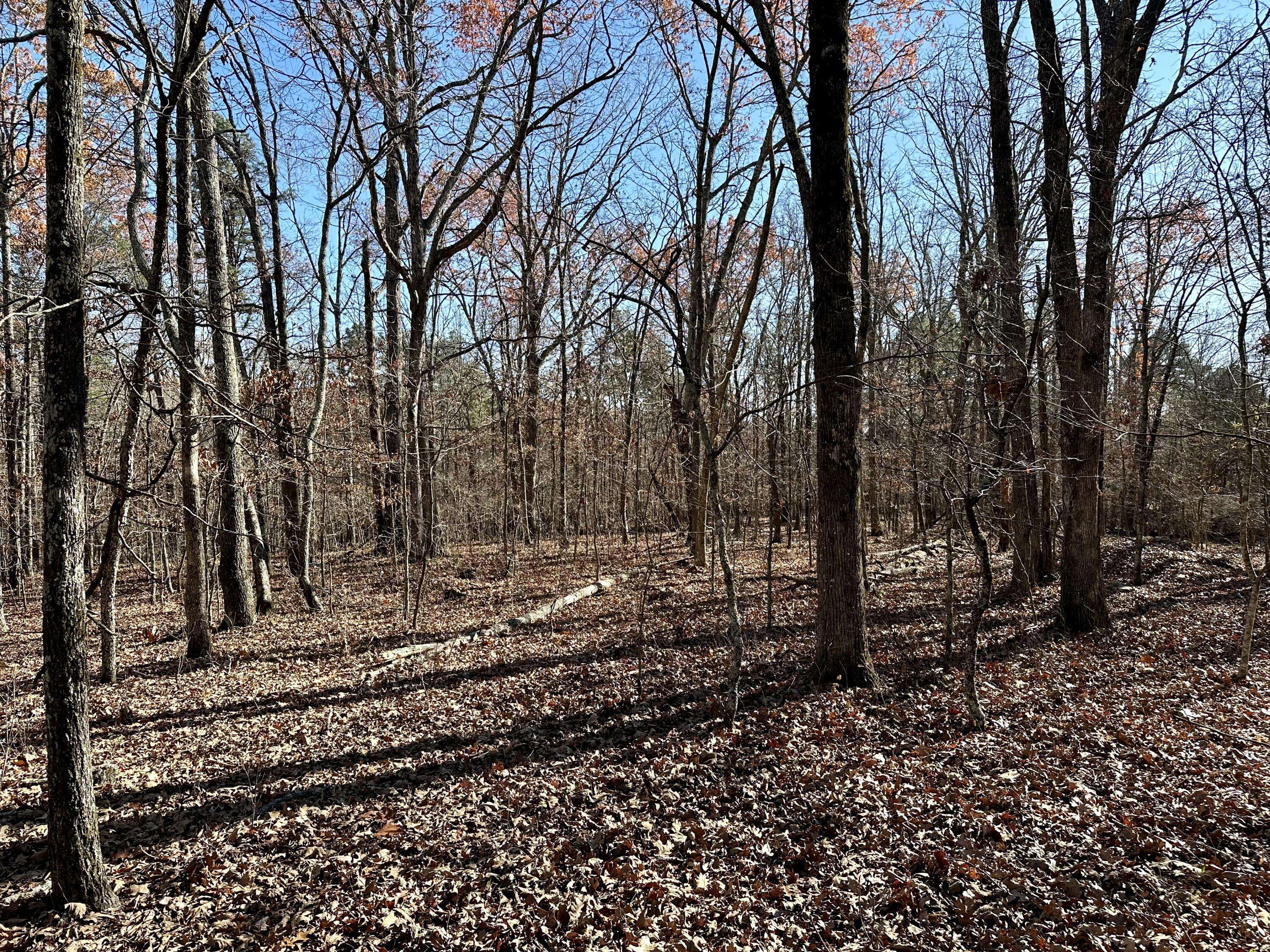 Ellsinor, MO 63937,000 H Highway