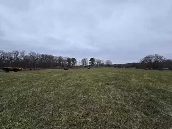 Raymondville, MO 65555,000 Mccolgin Road