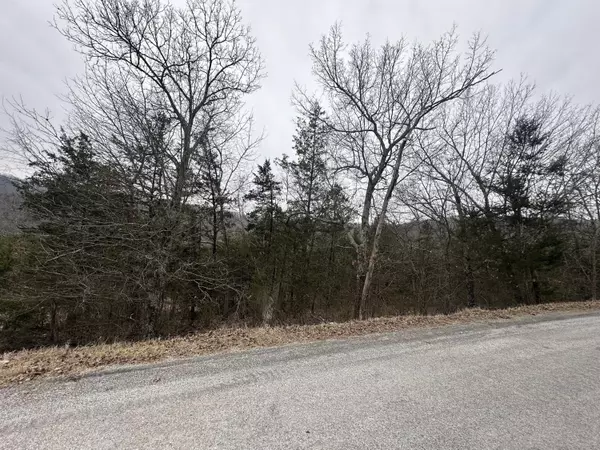 Hollister, MO 65672,351 Pine Woods Village Drive #Lot 4