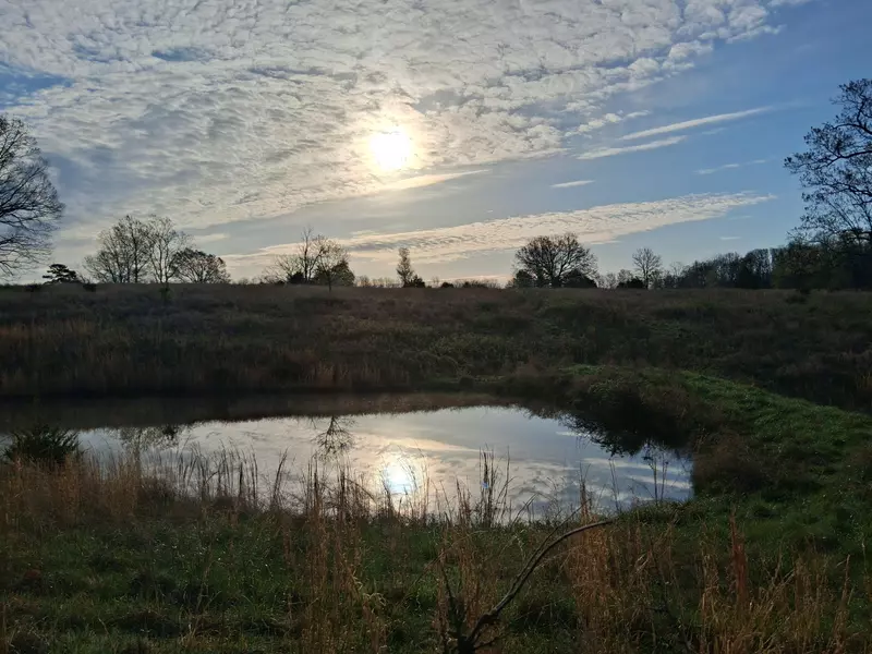 Address Not Disclosed