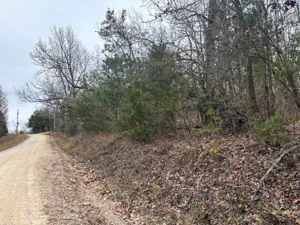 Theodosia, MO 65761,000 County Road 635