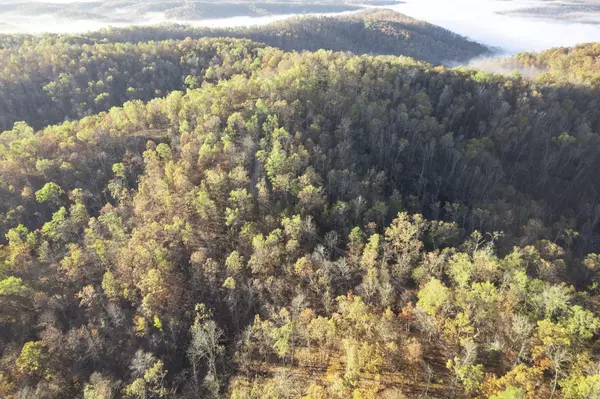 Annapolis, MO 63620,0000 County Road 336