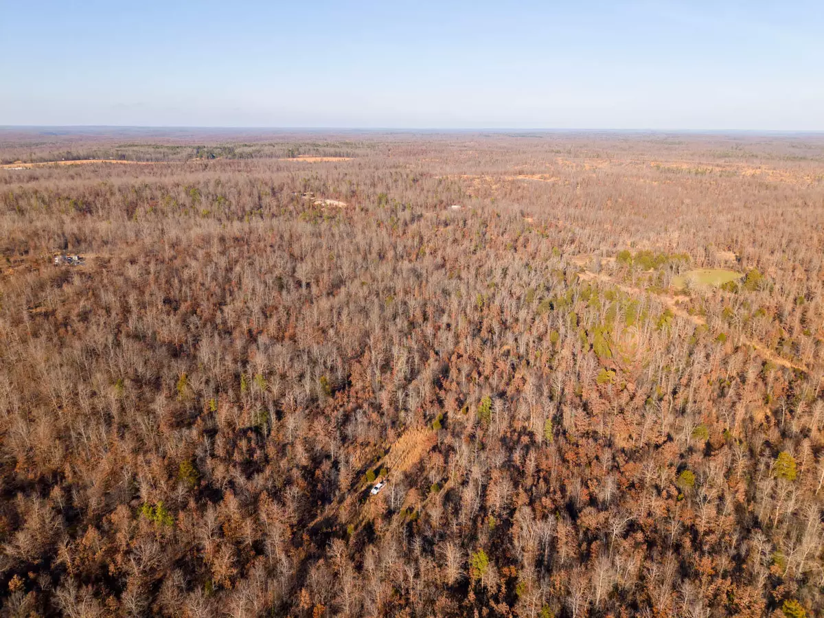 Birch Tree, MO 65438,9184 Murphy Way