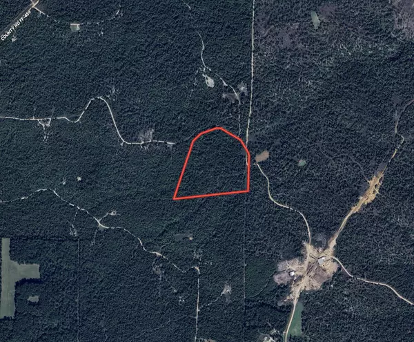 Birch Tree, MO 65438,9184 Murphy Way