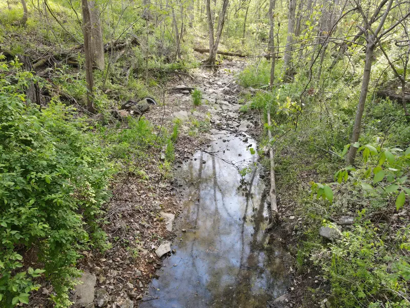 Address Not Disclosed