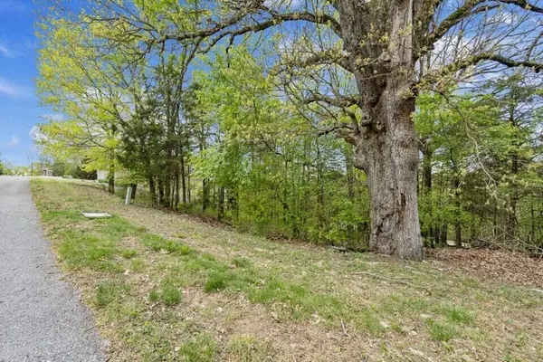 Cape Fair, MO 65624,Lot 87 S Shining Mountain Drive