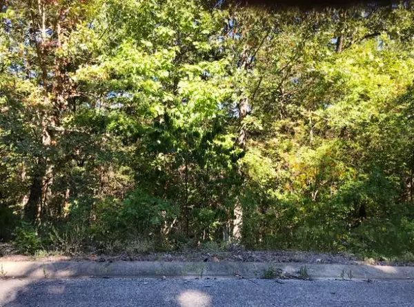 000 Skylee Dr #247, Hollister, MO 65672