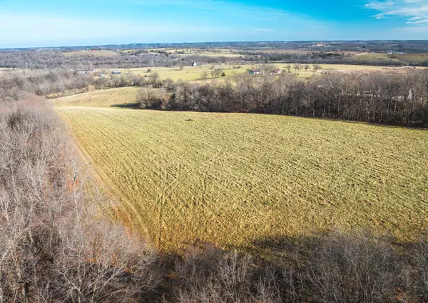 Billings, MO 65610,Lot D Highway M