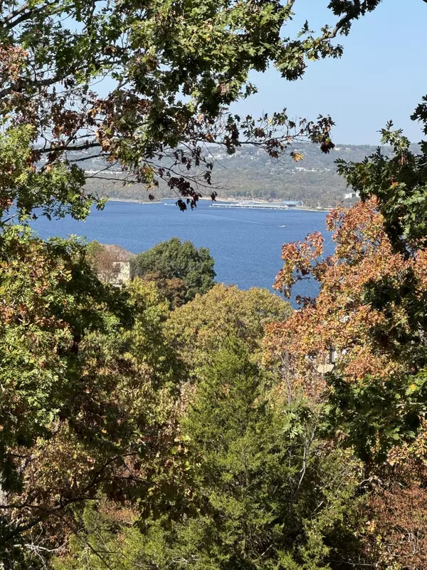 Branson West, MO 65737,Lots 1 White Bluff