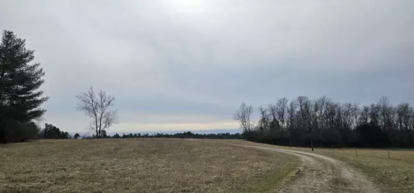 Birch Tree, MO 65438,10414 County Road 637