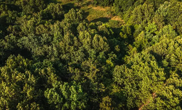 Golden, MO 65658,000 Farm Road 1268 #Lot 32