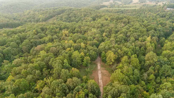 0000 Low Gap Road, Noel, MO 64854