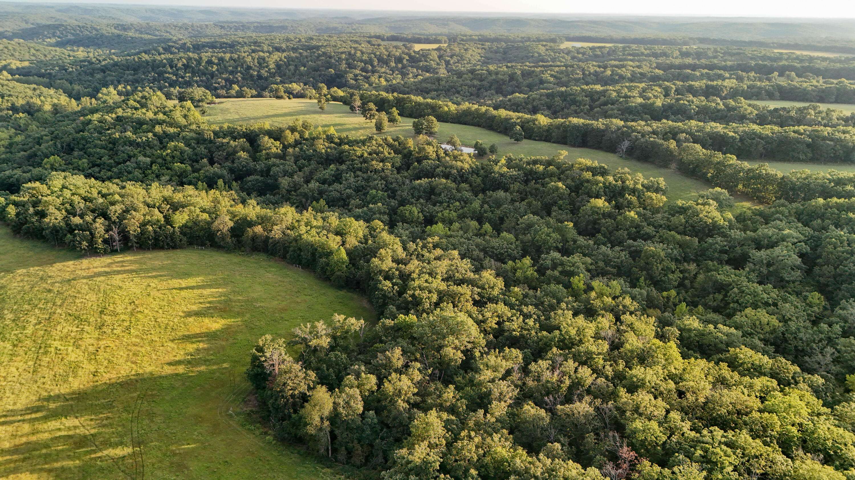 Roach, MO 65787,000 N State Highway 7