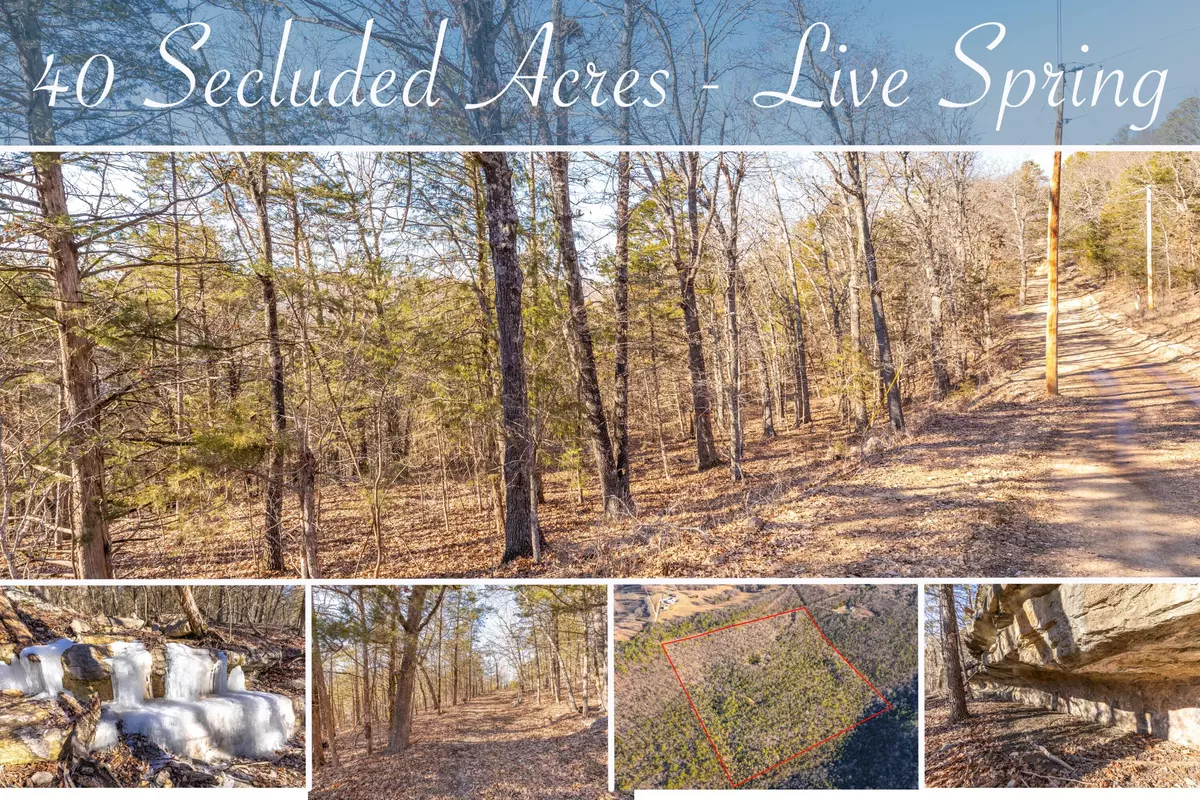 Omaha, AR 72662,10349 Sinclair Lane