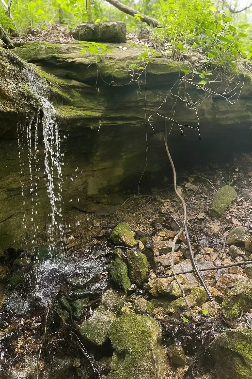 Falcon, MO 65470,000 State Highway Z