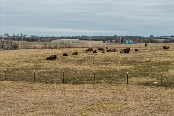 Buffalo, MO 65622,000 Peach Tree Lane