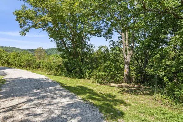 Galena, MO 65656,Lot 6 Bear Den Cove