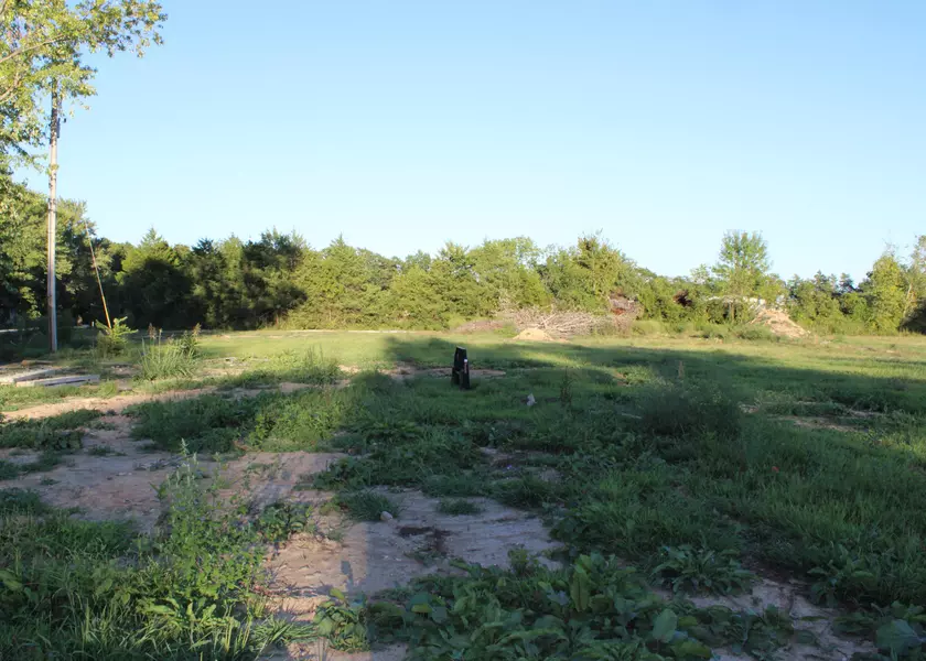 Lot3, 4, 7, 8 Park St, Taneyville, MO 65759