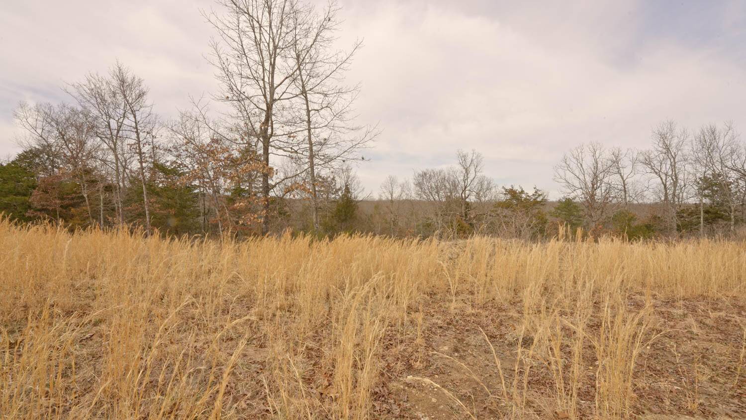 Lot 22 Oakridge Drive, Gepp, AR 72538