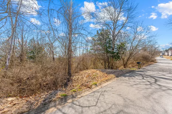 Forsyth, MO 65653,Lot 53 Eagle Drive
