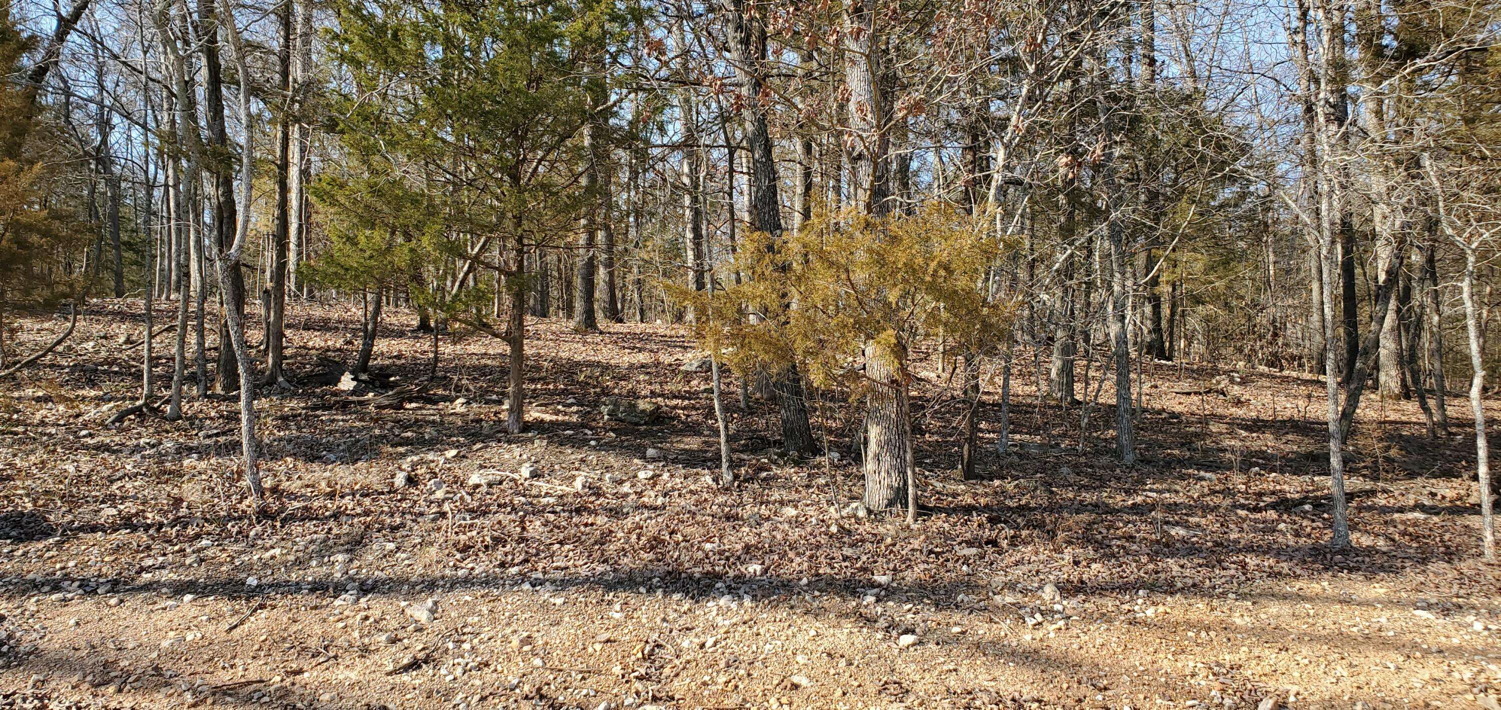 Kimberling City, MO 65686,000 Lot 100 Summer Breeze Lane