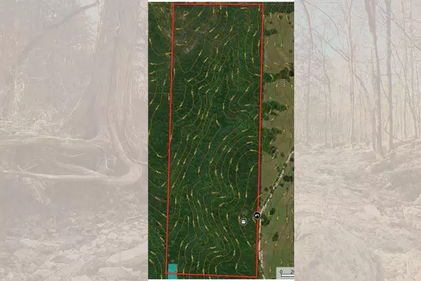 Tecumseh, MO 65760,120 Ac County Road 547