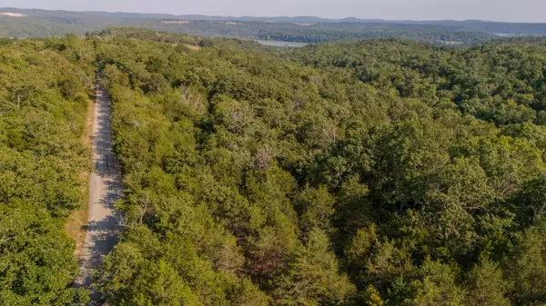 Kissee Mills, MO 65680,000 Sanders Rd- Sub Lot 5