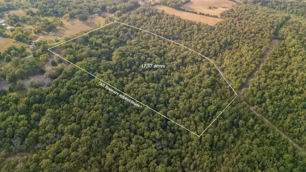 Kissee Mills, MO 65680,1755 State Hwy O- Tract C